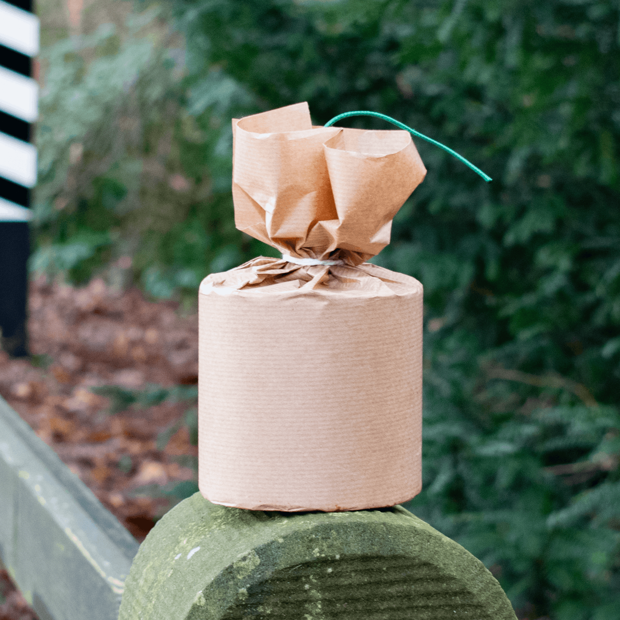 Cipolla 1K NEW - Dummy 